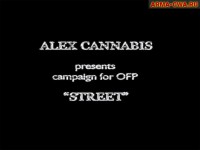 Кампания Улица от Alex Cannabis (фото)